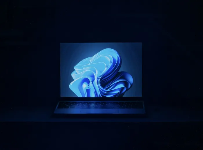 Websites & WordPress illustration